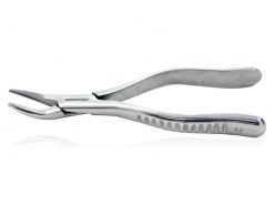 Forceps Adulto Nº69