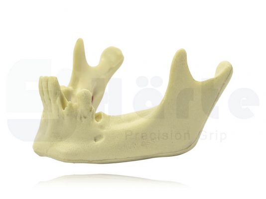 Mandíbula Com Alguns Dentes - 4012
