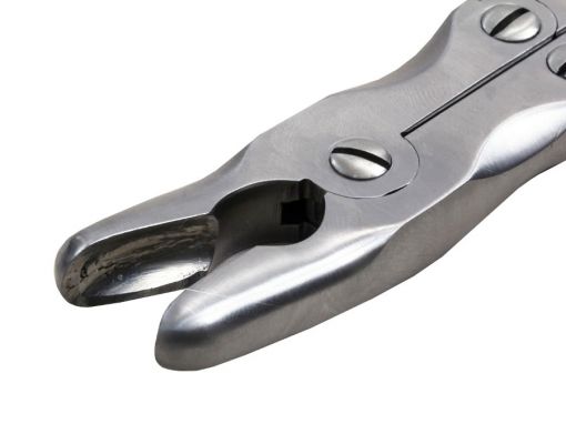 Goiva Stille Luer Boca 8mm
